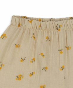 Yucafiber.shopc0fc594dc0 4