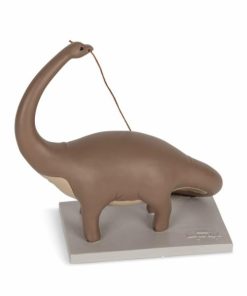 Yucafiber.shopef577f5ecd 1